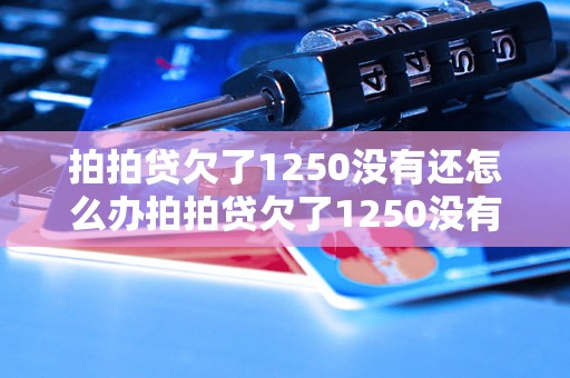 拍拍贷欠了1250没有还怎么办拍拍贷欠了1250没有还怎么处理