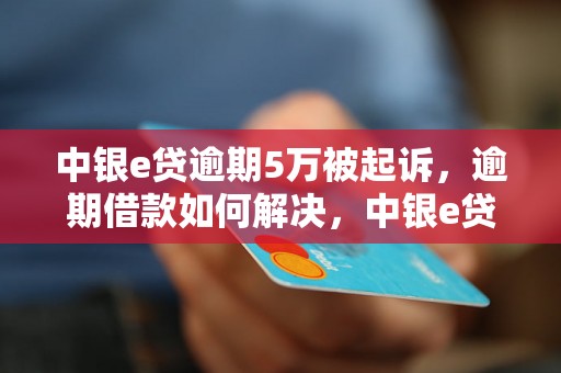 中银e贷逾期5万被起诉，逾期借款如何解决，中银e贷借款逾期处理方法