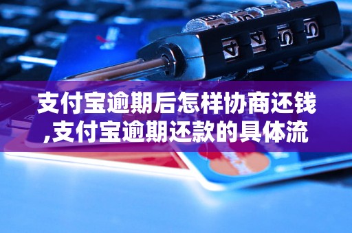 支付宝逾期后怎样协商还钱,支付宝逾期还款的具体流程