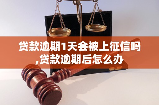 贷款逾期1天会被上征信吗,贷款逾期后怎么办