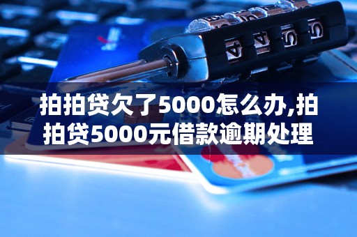 拍拍贷欠了5000怎么办,拍拍贷5000元借款逾期处理办法