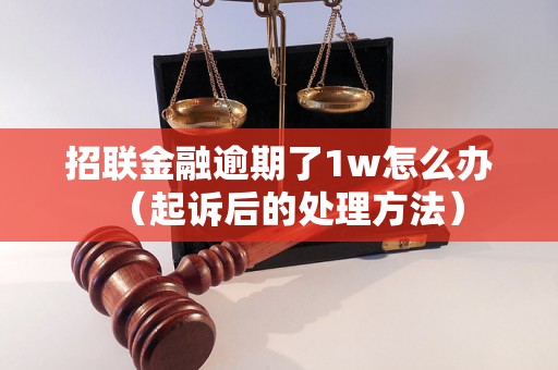 招联金融逾期了1w怎么办（起诉后的处理方法）