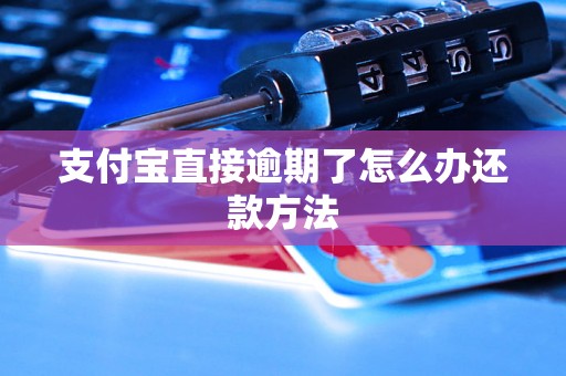 支付宝直接逾期了怎么办还款方法