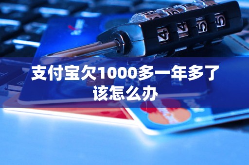 支付宝欠1000多一年多了该怎么办