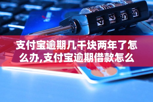 支付宝逾期几千块两年了怎么办,支付宝逾期借款怎么处理