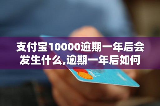 支付宝10000逾期一年后会发生什么,逾期一年后如何解决问题