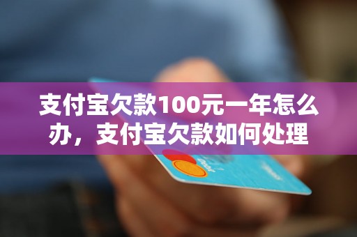 支付宝欠款100元一年怎么办，支付宝欠款如何处理