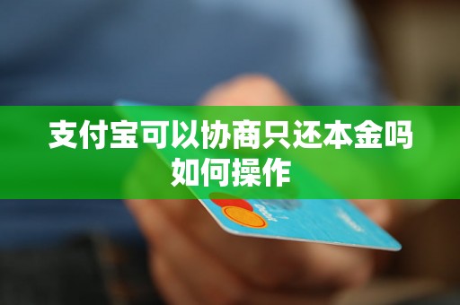 支付宝可以协商只还本金吗如何操作