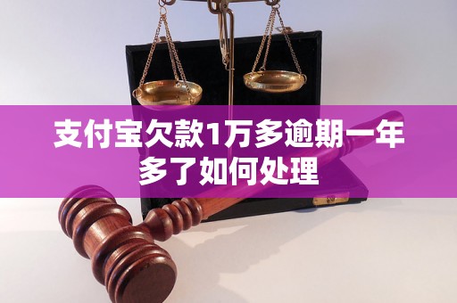 支付宝欠款1万多逾期一年多了如何处理