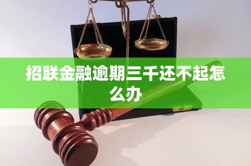 招联金融逾期三千还不起怎么办