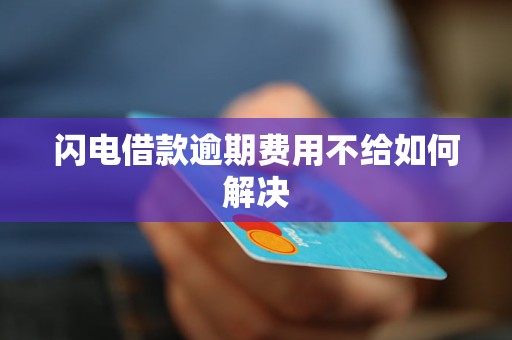 闪电借款逾期费用不给如何解决