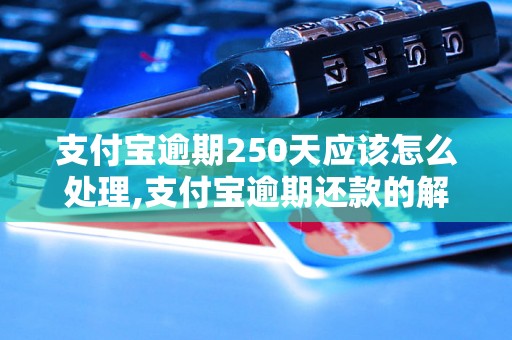 支付宝逾期250天应该怎么处理,支付宝逾期还款的解决办法有哪些