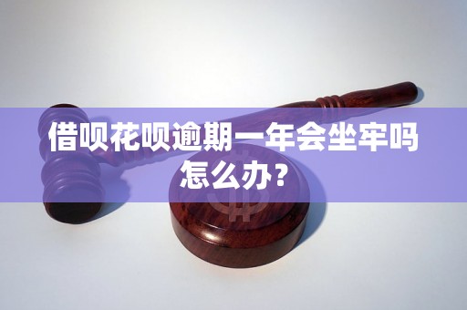 借呗花呗逾期一年会坐牢吗怎么办？