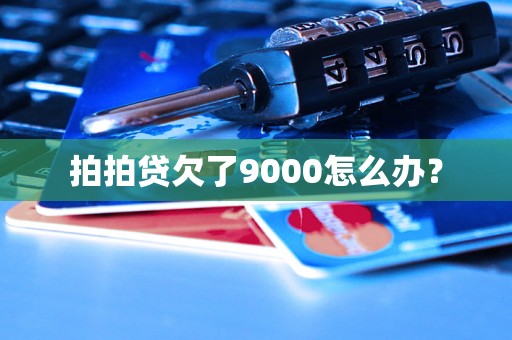 拍拍贷欠了9000怎么办？