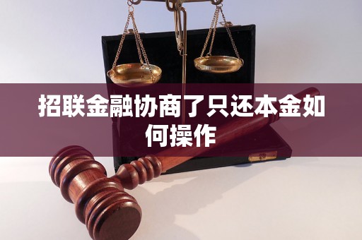 招联金融协商了只还本金如何操作