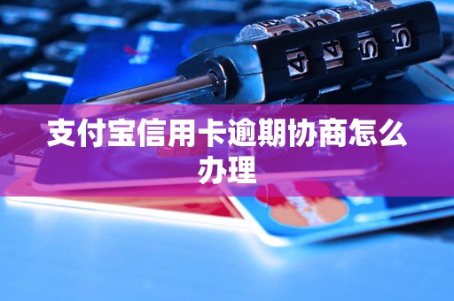 支付宝信用卡逾期协商怎么办理