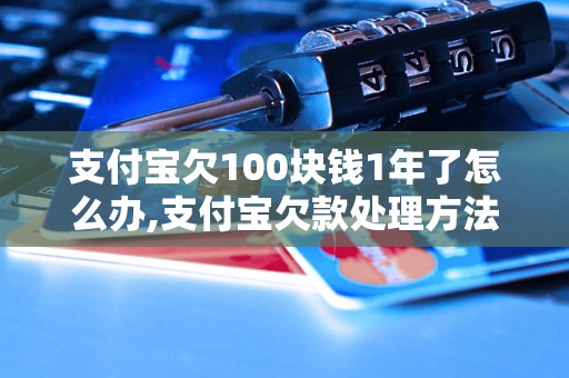 支付宝欠100块钱1年了怎么办,支付宝欠款处理方法