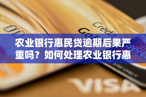 农业银行惠民贷逾期后果严重吗？如何处理农业银行惠民贷逾期问题？