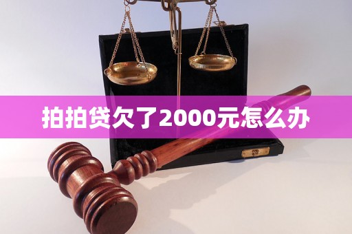 拍拍贷欠了2000元怎么办