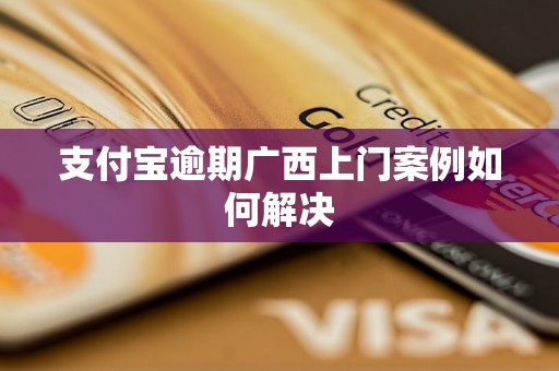 支付宝逾期广西上门案例如何解决