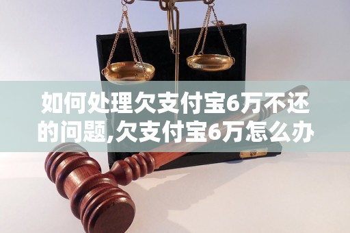 如何处理欠支付宝6万不还的问题,欠支付宝6万怎么办