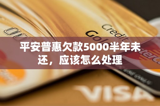 平安普惠欠款5000半年未还，应该怎么处理