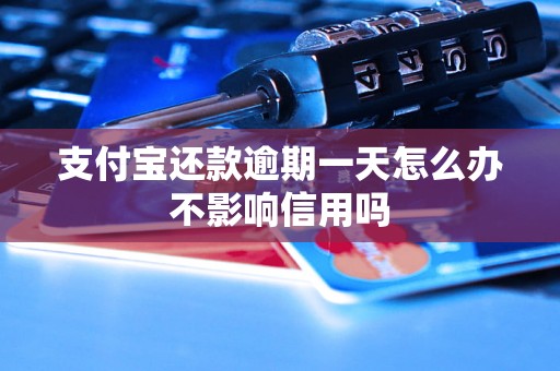 支付宝还款逾期一天怎么办不影响信用吗