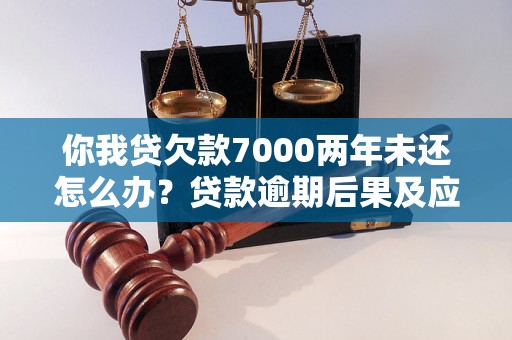 你我贷欠款7000两年未还怎么办？贷款逾期后果及应对措施分析