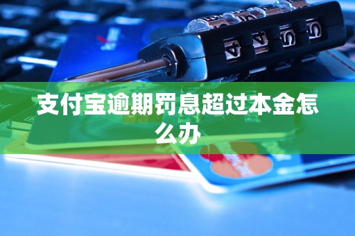 支付宝逾期罚息超过本金怎么办