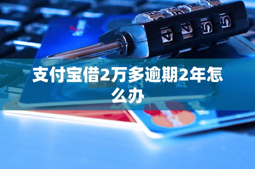 支付宝借2万多逾期2年怎么办