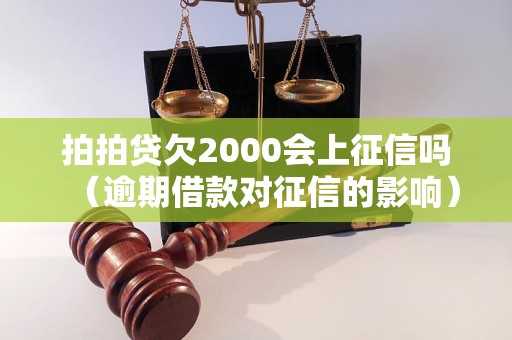 拍拍贷欠2000会上征信吗（逾期借款对征信的影响）