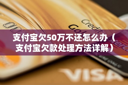 支付宝欠50万不还怎么办（支付宝欠款处理方法详解）