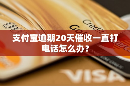 支付宝逾期20天催收一直打电话怎么办？