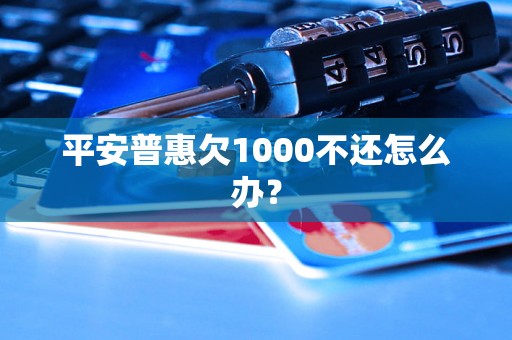 平安普惠欠1000不还怎么办？