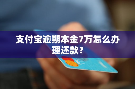 支付宝逾期本金7万怎么办理还款？