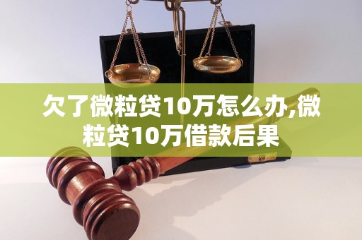 欠了微粒贷10万怎么办,微粒贷10万借款后果