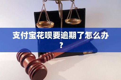 支付宝花呗要逾期了怎么办？