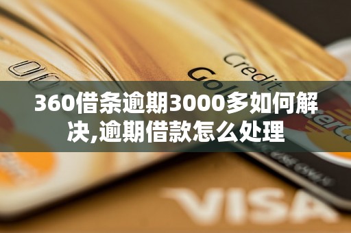 360借条逾期3000多如何解决,逾期借款怎么处理