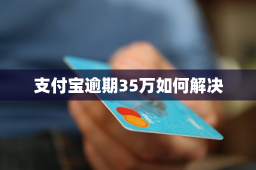 支付宝逾期35万如何解决