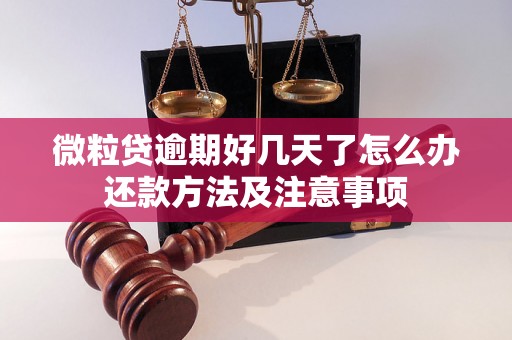 微粒贷逾期好几天了怎么办还款方法及注意事项