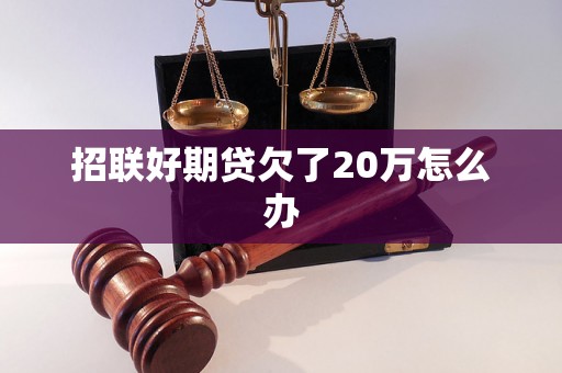 招联好期贷欠了20万怎么办