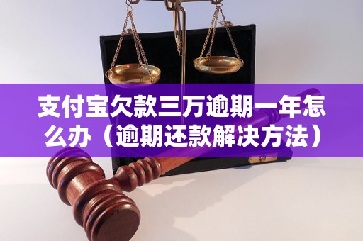 支付宝欠款三万逾期一年怎么办（逾期还款解决方法）