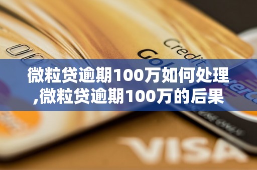 微粒贷逾期100万如何处理,微粒贷逾期100万的后果