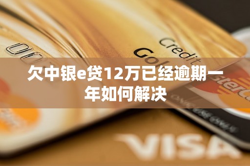 欠中银e贷12万已经逾期一年如何解决