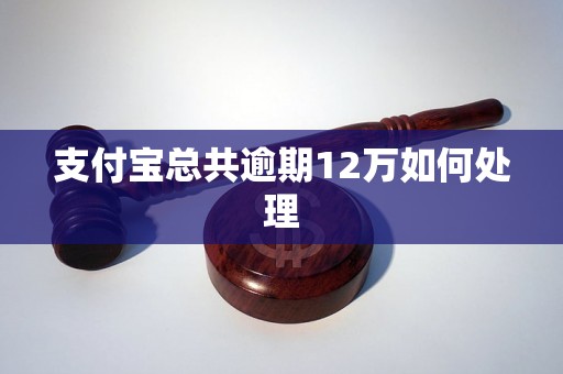 支付宝总共逾期12万如何处理