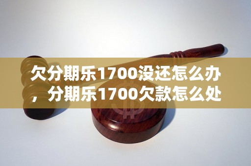 欠分期乐1700没还怎么办，分期乐1700欠款怎么处理