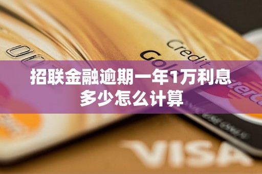 招联金融逾期一年1万利息多少怎么计算