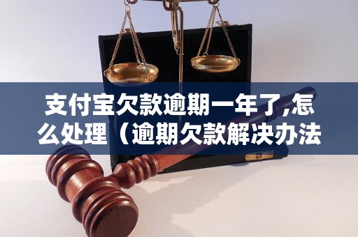 支付宝欠款逾期一年了,怎么处理（逾期欠款解决办法）