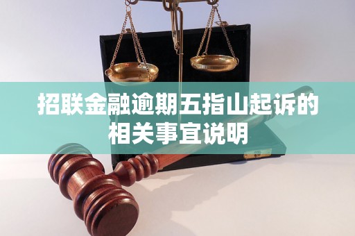 招联金融逾期五指山起诉的相关事宜说明