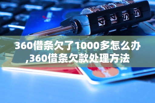 360借条欠了1000多怎么办,360借条欠款处理方法